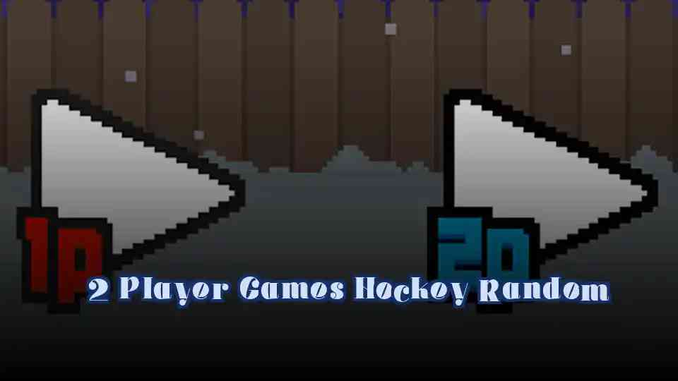 2 Player Games Hockey Random