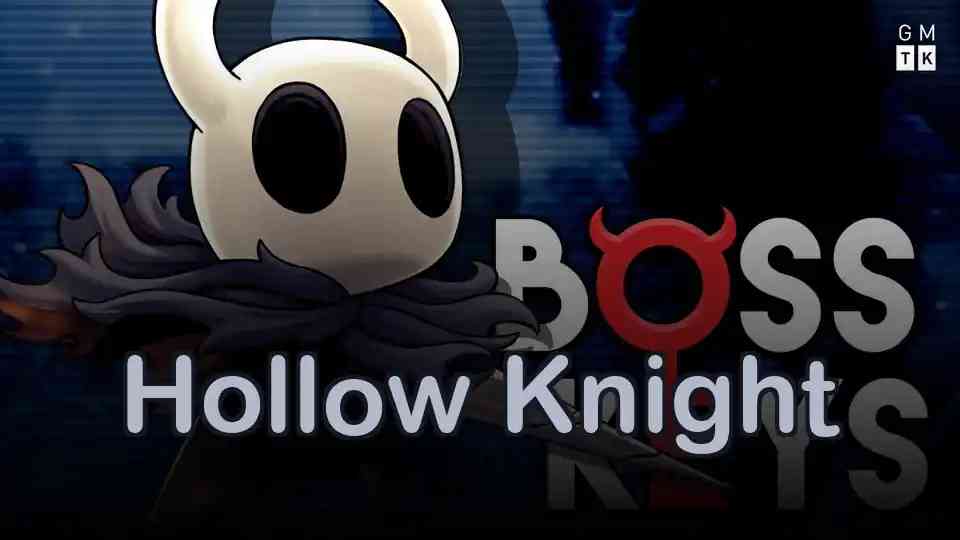 Hollow Knight