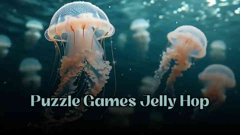 Puzzle Games Jelly Hop